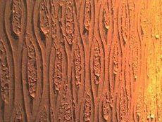 Textura de Rolo