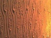 Textura de Rolo
